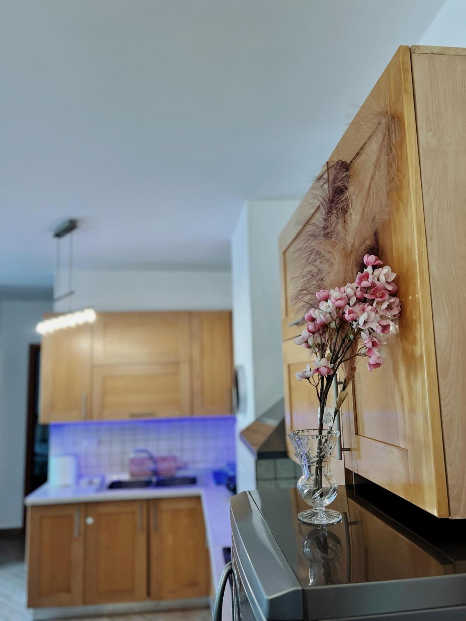 Lovely Apartment Тирана Экстерьер фото